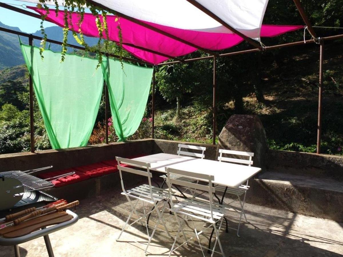 Appartement Raffine A Feliceto 120 M² Avec Vue Sur Montagne Zewnętrze zdjęcie